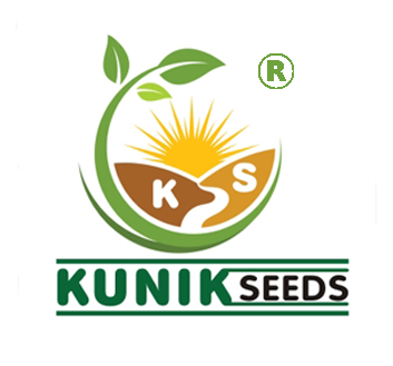 Kunik Seeds