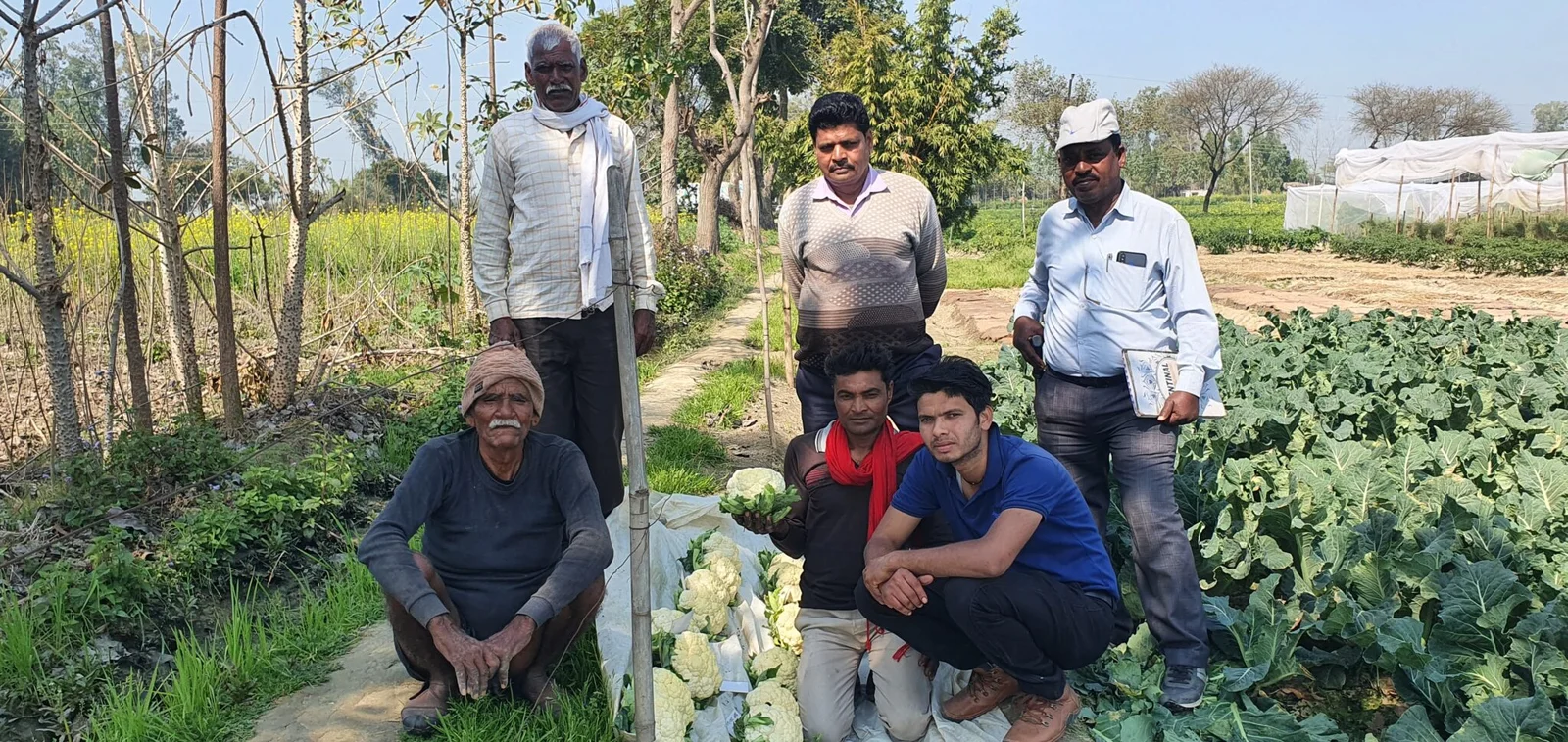R&D at Kunik Seeds